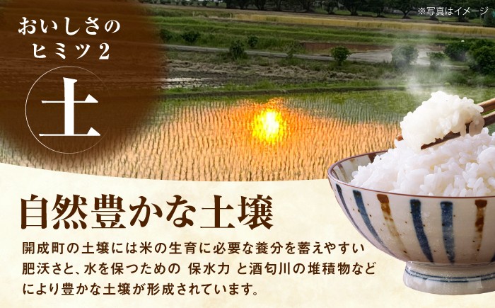 令和7年産 はるみ米 10kg 10kg×1袋 神奈川県 令和7年度産 米 おこめ お米 白米 こめ ライス rice kome