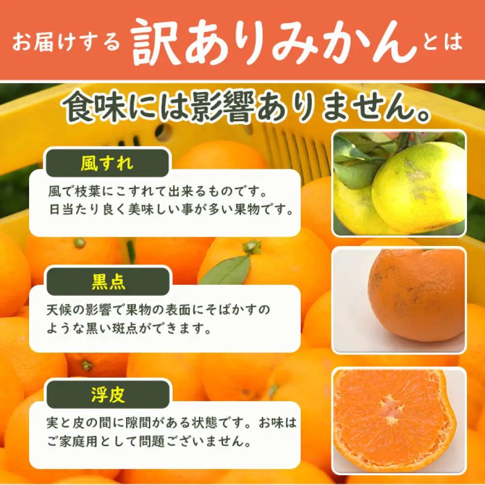 【定期便4か月】みかん 5kg 4回 お届け ご家庭用混合サイズ 早生・蔵出しみかん