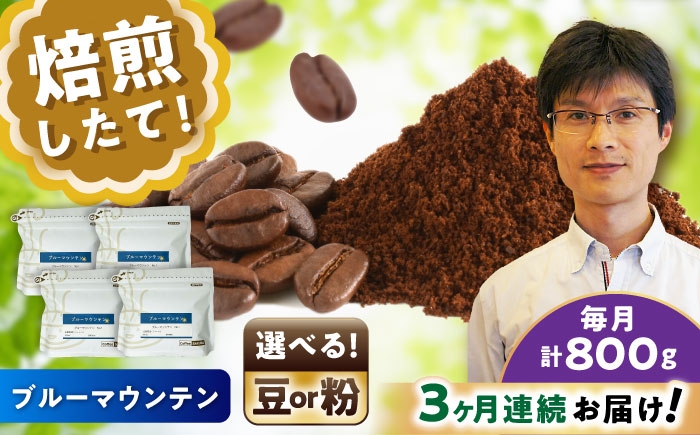 
            【全3回定期便】【選べる豆 or 粉】ブルーマウンテンNo.1　200g×4個 / 珈琲 コーヒー / 瀬戸市 / Ｃｏｆｆｅｅ　ＳＡＫＵＲＡ [BBAB095]
          