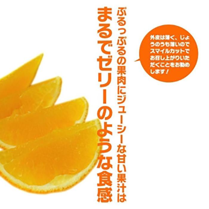 【先行予約】【2025年11月下旬頃順次発送】紅まどんな 約3kg（8~15玉）4L〜Lサイズ 紅まどんな 愛媛 みかん 紅マドンナ 紅まどんな 蜜柑 柑橘 果物 松山市の紅まどんな 贈答 愛媛のみか