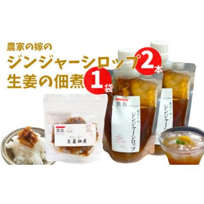 ふるさと納税 佐川町 【佃煮1袋・シロップ2個】ごはんのお供(B)
