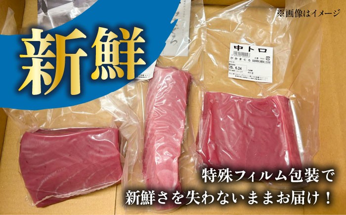 【全12回定期便】 五島列島産 養殖 生本かみマグロ 赤身 300g / まぐろ 鮪 刺身 ブロック