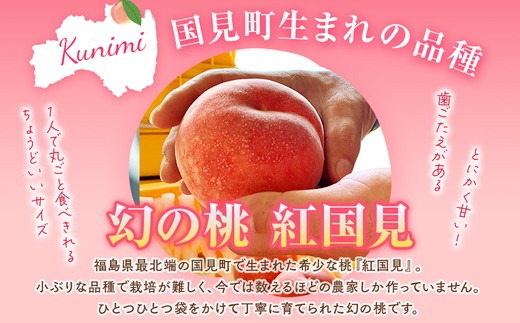 ◆2026年夏発送◆紅国見～産直・桃・約5kg～ ※離島への配送不可 ※2026年7月上旬～7月下旬頃に順次発送予定 ｜ 先行予約 予約 数量限定 桃 もも モモ 果物 くだもの フルーツ 詰め合わせ 福島 ふくしま