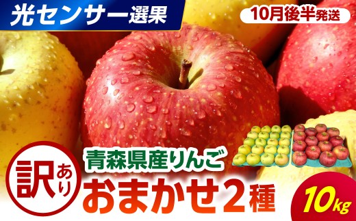 【2026年10月後半発送】 【訳あり】 りんご 約10kg 品種おまかせ２種 ≪光センサー選果保証≫ 青森県産