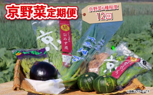 【 12回定期便 】 京野菜 野菜 6種 程度 定期便 12回 詰め合わせ 京都 野菜セット 季節 旬 栄養食 栄養野菜 九条ネギ 万願寺 賀茂なす 京都府産 数量限定 冷蔵 サラダ 健康 BBQ バーベキュー 健康食品 緑黄色野菜 美容 ふるさと納税 ギフト ギフト用 贈答 贈答用 贈答品 贈り物 お中元 お歳暮 サラダ 農家直送 産地直送 新鮮 人気 おすすめ リピーター