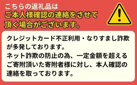 サーフィン サーフボード PYZEL SURFBOARDS HIGHLINE ROUND TAIL FUTURE パイゼル マリンスポーツ 海 アクティビティー スポーツ ショートボード 藤沢市 江の