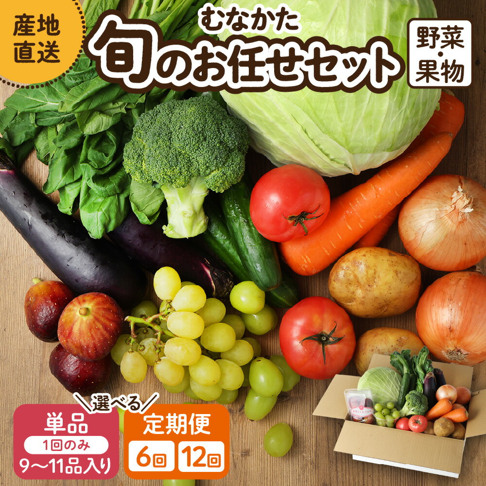 【ふるさと納税】【1回お届け／定期便】むなかた旬のお任せセット（野菜・フルーツ）9～11品【JAほたるの里】_HA1570 送料無料お野菜 野菜 旬 セット 詰め合わせ お楽しみ 季節 新鮮 産直 直送 採れたて フレッシュ 美味しい 健康 福岡県 宗像市