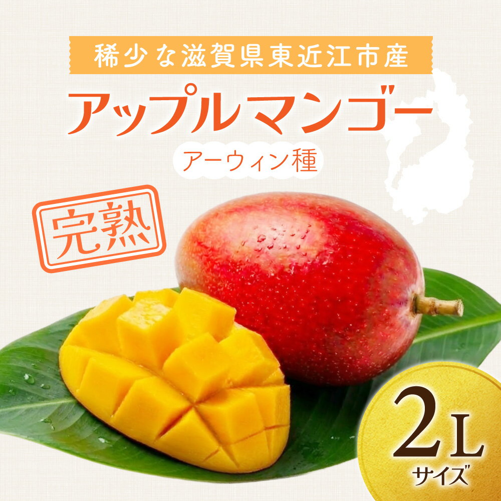 【ふるさと納税】【期間限定】《2026年9月15日まで》アップルマンゴー 2Lサイズ コバヤシ化成 滋賀県 東近江市 A-G26 マンゴー 完熟 予約 冷蔵 フルーツ 果物 濃厚 期間限定 国産 本格 産地直送