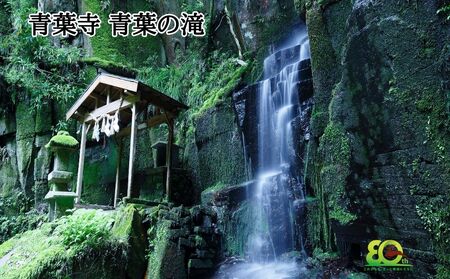 奈良交通 路線バス貸切 宇陀市内観光６時間コース券１枚 / 路線バス バス貸切ツアー 周遊 社員旅行 奈良 宇陀