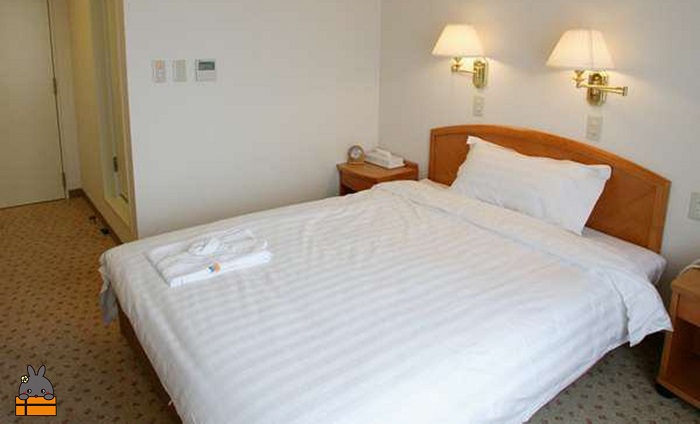 ホテルグランドオーシャンリゾート　シングル（朝食付）宿泊券（1名様） ( 宿泊 ホテル 宿泊券 旅行 旅行券 徳之島 奄美 鹿児島 徳之島町 リゾート ビジネス )