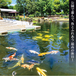 さいたま水族館 年間パスポート 引換券 小人 観光 魚 お出かけ 水族館 埼玉県 羽生市