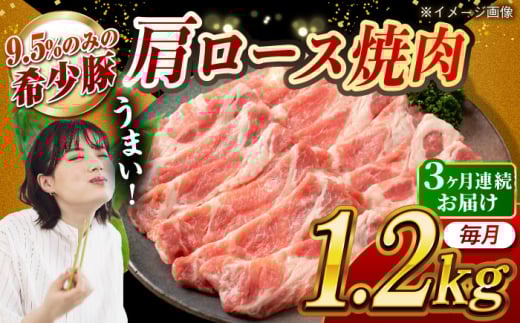 【月1回約1.2kg×3回定期便】大西海SPF豚 肩ロース（焼肉用）計約3.6kg 長崎県/長崎県農協直販 [42ZZAA057]