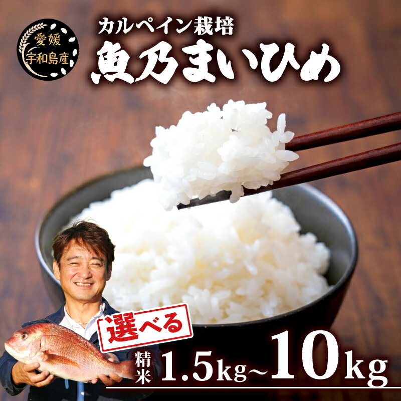 【ふるさと納税】 コシヒカリ 1.5kg~ 10kg ブランド米 魚乃まいひめ カルペイン栽培 選べる 容量 計1.5kg (2合×5袋) ～ 計 10kg ( 5kg × 2袋) 精米 秀長水産 米 環境保全 カルペイン 鯛 真鯛 こめ コメ 小分け 弁当 おにぎり 美味しい 甘い 備蓄 産地直送 国産 愛媛 宇和島