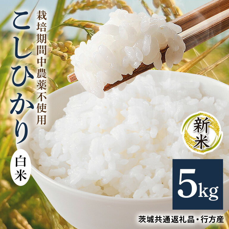 【ふるさと納税】 令和7年産新米 白米 5kg 栽培期間中農薬不使用 こしひかり 茨城県産 米 お米 コメ ご飯 コシヒカリ 食味豊か 甘み 旨み 冷めても 美味しい お弁当 向け 食卓常備 産地直送 茨城県 潮来市 ＜茨城県共通返礼品・行方市産＞ (A03-014)