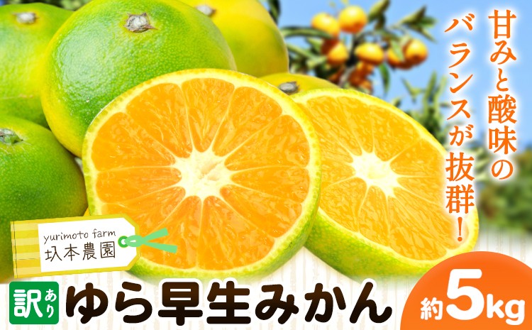 
                  訳あり ゆら早生みかん 5kg 圦本農園 《10月上旬-11月上旬頃出荷》和歌山県 日高川町 送料無料 訳ありみかん 5キロ わけありみかん わけあり 早生 みかん ミカン 柑橘 フルーツ 果物
                