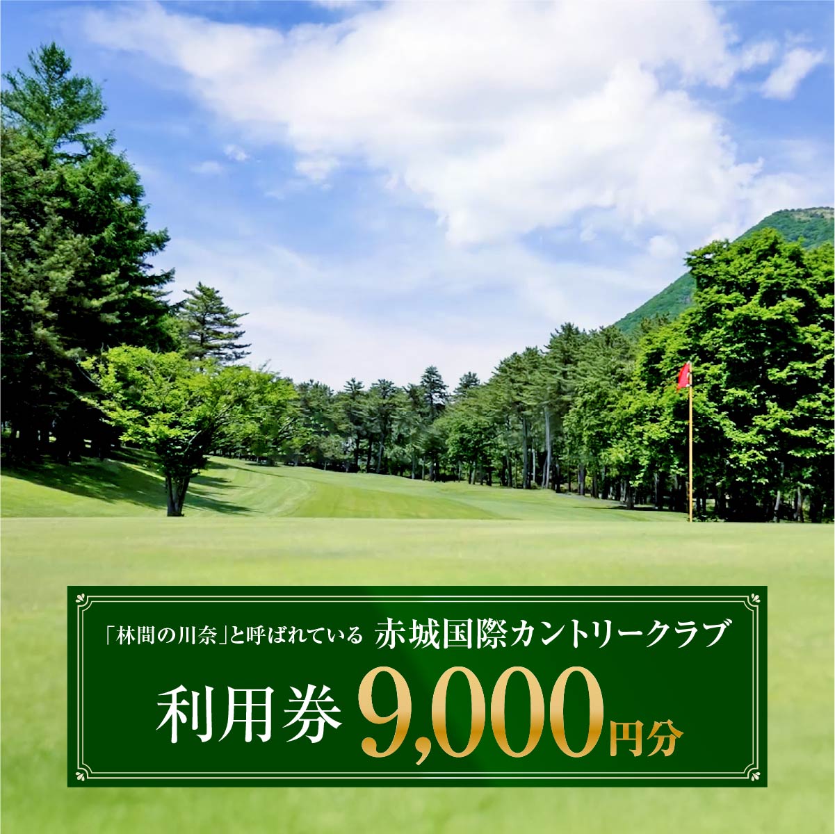 【ふるさと納税】赤城国際カントリークラブ 利用券 9,000円分 3000円券×3枚｜ゴルフ場 利用券 チケット ゴルフ 利用クーポン ラウンド プレー ハーフ 関東 都心 近い スイング ゴルフクラブ スコア ゴルフコース 歴史 伝統 林間 戦略 1964年開場 四季 見通し 景色 眺望 R5-4