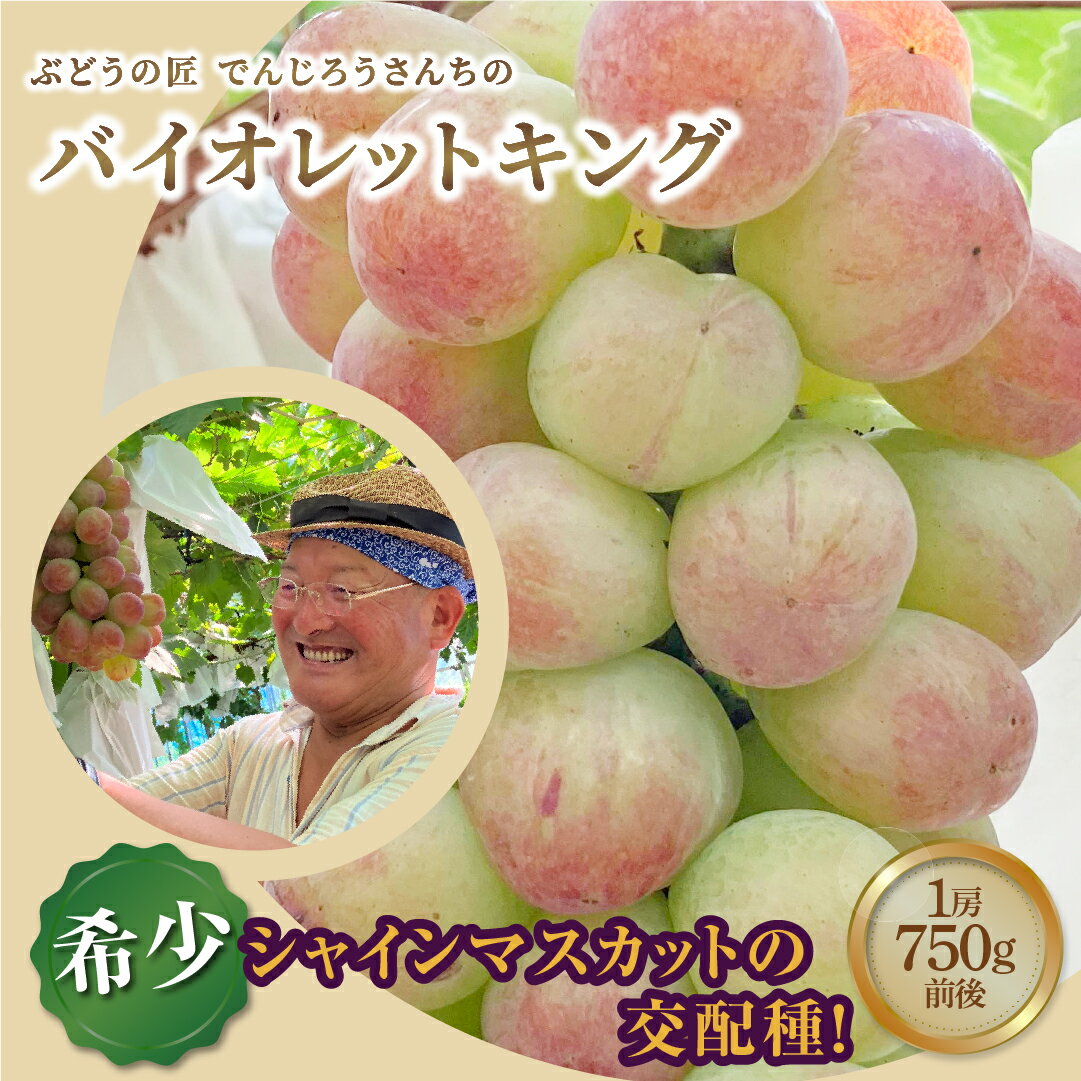 【ふるさと納税】【 先行予約 2025年発送 】＼ バイオレットキング 約750g／ 1房 冷蔵 高級 種無し 種なし シャインマスカット ぶどう 品種 果物 甘い 巨峰 美味しい 希少 人気 ランキング おすすめ 福島県 福島 ふくしま 田村市 鈴木農園 でんじろうさん