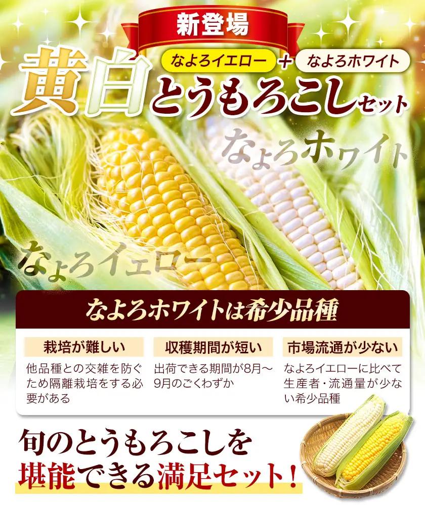 【先行予約】ゴールドラッシュ 黄白 とうもろこし 5kg 北海道 名寄 スイートコーン 食べ比べ