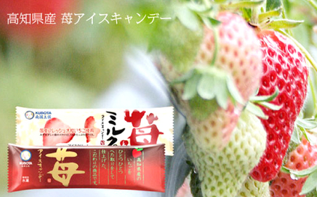 久保田 バラエティーキャンデーセットＡ | 久保田食品 アイス ギフト セット