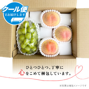 【2026年発送★先行予約】桃×シャインマスカット  1.6㎏～2㎏　桃1㎏以上～　シャインマスカット600g以上　詰め合わせセット154-047-26y