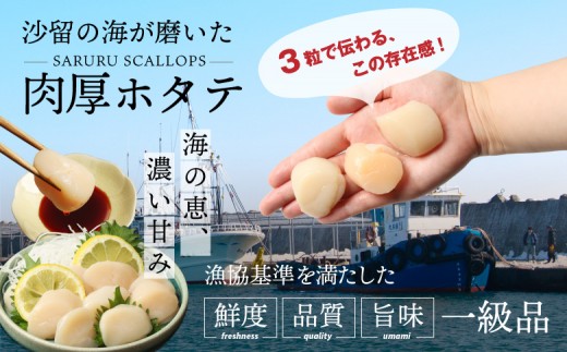 【お手頃サイズ】オホーツク産ホタテ玉冷500g（約30～40玉入り）