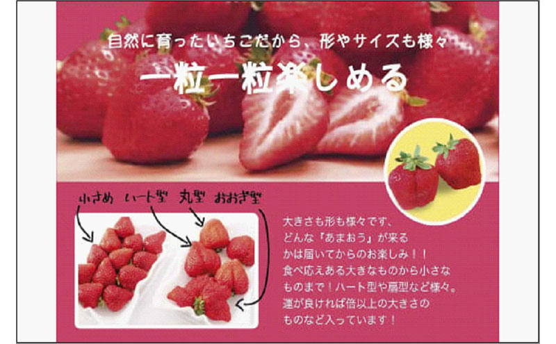 いちごの王様　福岡名産あまおう 約150g×8パック　計約1.2kg　＜2027年3月以降発送＞　いちご イチゴ 苺