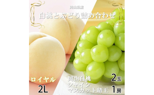 ＜先行受付＞岡山県産　岡山白桃ロイヤル2L250g×2玉・シャインマスカット晴王500g×1房　詰合【1308770】