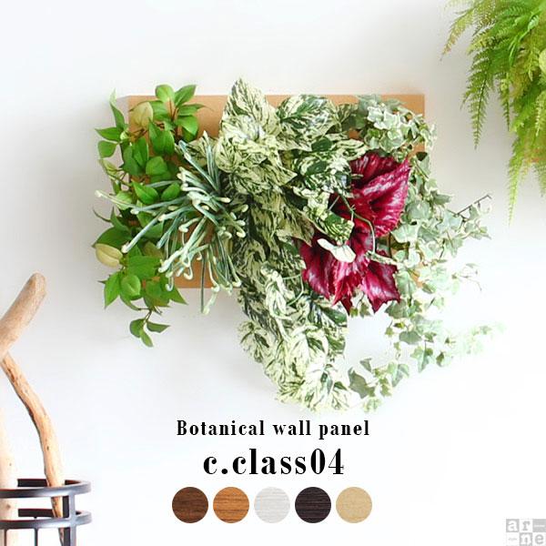 Botanical c.class 04　ブラウン