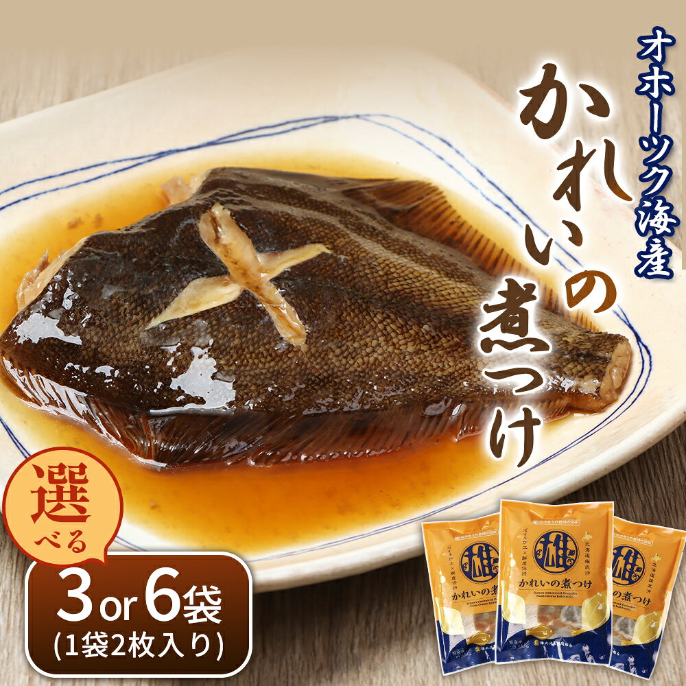 【ふるさと納税】かれいの煮つけ（2枚）【選べる袋数】 | オホーツク海 煮魚 カレイ 2枚 3袋 計6枚 6袋 計12枚 北海道産 雄武産 雄武沖 海鮮 海産 魚介類 おつまみ ごはんに合う 特製だれ 甘辛 北海道海鮮 グルメ 雄武漁業協同組合 お取り寄せ 北海道 雄武町 雄武
