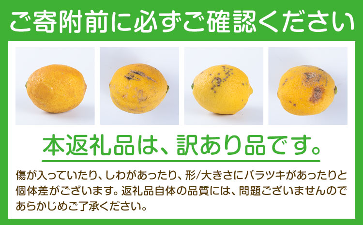 レモン訳あり国産レモン5kg(サイズ混合)ノーワックス減農薬どの坂果樹園《2026年2月上旬-5月末頃出荷》れもん檸檬家庭用旬新鮮果物柑橘フル---wsh_dsk4_ac25_24_10000_5kg