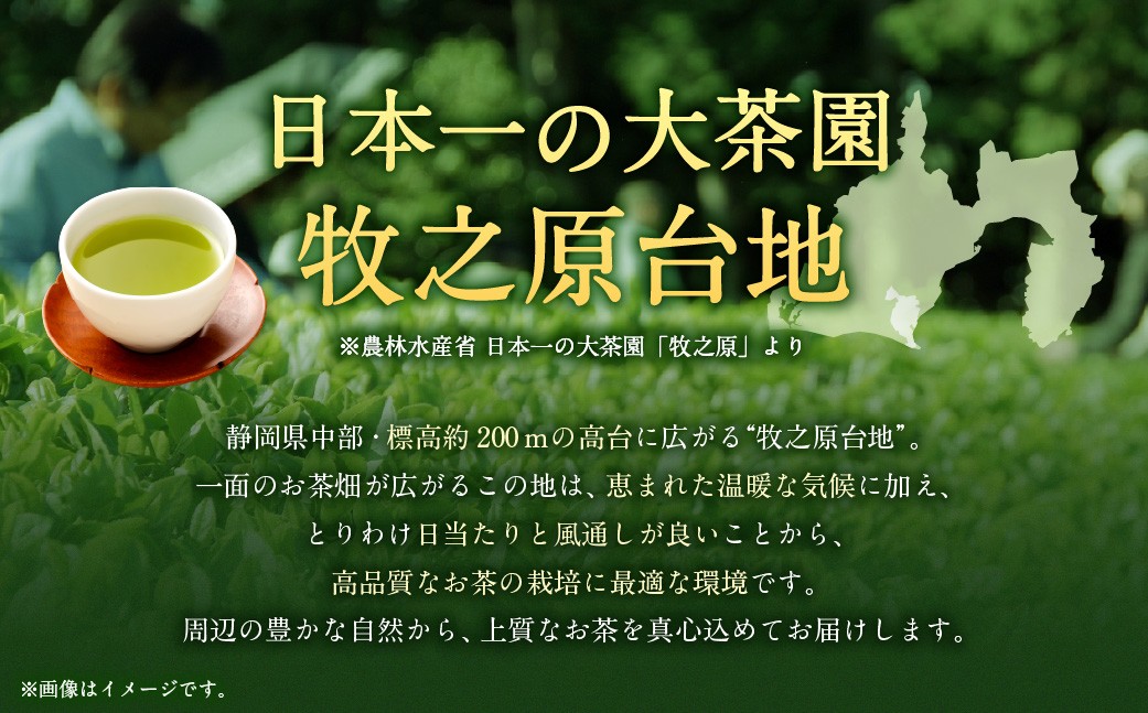 【3ヶ月定期便】 こだわり製法で作った高級菊川茶 計200g 100g×2本 セット 【深蒸し 煎茶】