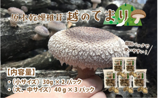 
鯖江市産 原木乾燥椎茸「越のてまり」 （大・中サイズ）3パック &（小サイズ）2パック　計5パック [B-05001]
