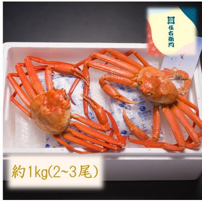ふるさと納税 射水市 【富山県新湊産】ボイル紅ズワイ蟹　約1kg(2〜3尾)