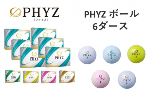 
PHYZ 6ダースセット[№5689-0736]
