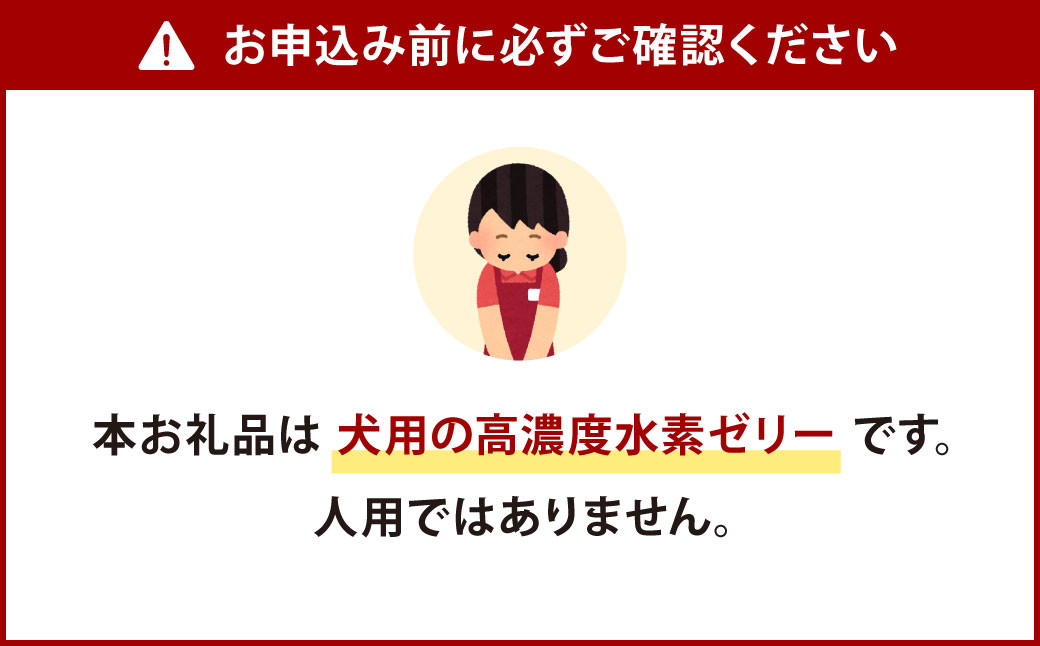 【3ヶ月定期便】 高濃度 水素ゼリー 犬用 31本入り × 3回 (1本5g) 水素 ゼリー ごはん おやつ 犬 愛犬 健康食品 サプリ ヨーグルト風味 持ち運び 携帯 ペット