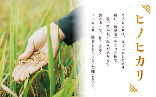 湯前町のお米「古式精米」10kg