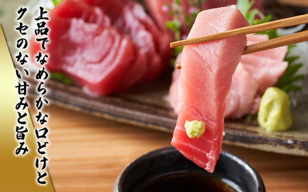 【冷凍】伊勢まぐろ（養殖本まぐろ）赤身・トロ身 計4個　約700g／鮪　本マグロ　トロ　三重県産