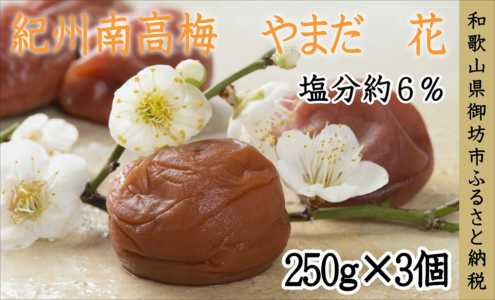 
やまだ南高梅　花（250ｇ×３個）
