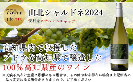 ワイン 人気 白 高知県産ワイン tosa cavatina 山北シャルドネ2024 (750ml×1本) - 白 辛口 お酒 さけ アルコール ボトル 瓶 ギフト 送料無料 高知県 香南市 冷蔵 i