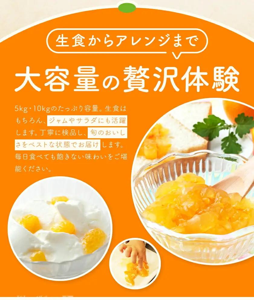 ポンカン5kg 高橋商店《12月上旬-2月中旬頃出荷》