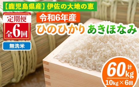 isa518-B 【定期便6回】 ＜無洗米＞令和6年産 鹿児島県伊佐南浦産 ひのひかり5kg・あきほなみ5kg (合計60kg・計10kg×6ヵ月) 国産 白米 精米 無洗米 伊佐米 お米 米 生産者 定期便 ひのひかり あきほなみ 新米【Farm-K】