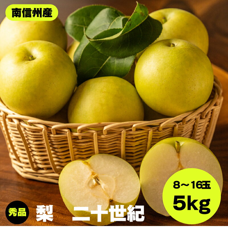【ふるさと納税】【南信州産】二十世紀　秀品　約5k　8～16玉 JAみなみ信州DMセンター飯田市 | 二十世紀 二十世紀梨 梨 ナシ なし フルーツ 果物 ジューシー 信州 南信州 送料無料 ふるさと納税 長野県 飯田市 K22