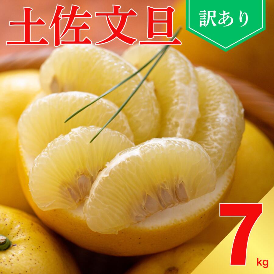 【ふるさと納税】 訳あり 土佐 文旦 7kg サイズ ミックス ご家庭用 送料無料 産地直送 農家直送 フルーツ 果物 柑橘 ぶんたん ジューシー 旬の味覚 爽やか 香り プリプリ 食感 小玉 大玉 サラダ デザート にも 人気 おすすめ 予約 期間限定 愛媛県 愛南町 愛なんよ