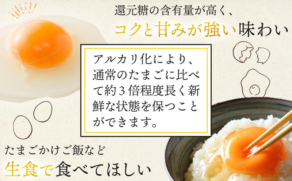 【定期便 全3回】 アルカリ化 玉子 紀州地養卵 合計 50個入 (40個＋割れ補償分10個）× 3回　卵 たまご 玉子 タマゴ 鶏卵 まとめ買い オムレツ 卵かけご飯 朝食 業務用