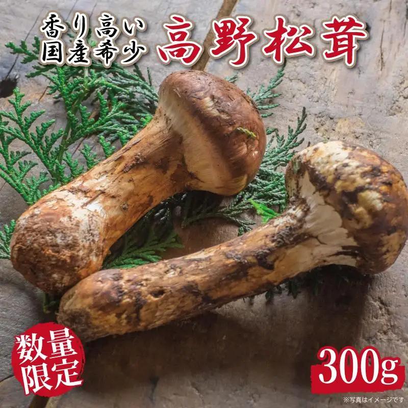 【ふるなびWEEK対象】先行予約 国産松茸 約300g 数量限定 香り高く希少 松茸【9月下旬～11月上旬発送予定】