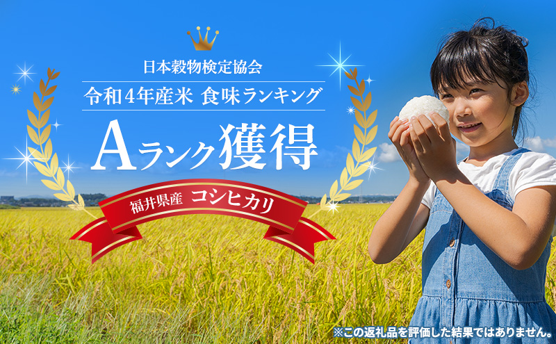 【祝北陸新幹線延伸】【先行予約】米 令和6年　コシヒカリ 10kg 一等米 お米 おこめ こめ コメ 白米 精米 新米 ご飯 ごはん 山心ファーム 福井県 福井