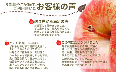 サンふじりんご 3kg (約10～12玉) 山形県産 ギフト箱入り 《先行予約 2024年11月中旬から発送開始》 FSY-0617