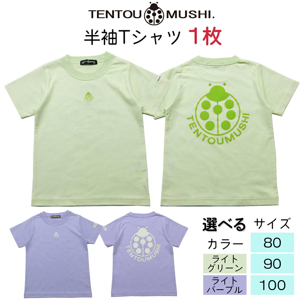 【ふるさと納税】子ども用 半袖Tシャツ TENTOUMUSHI てんとう虫PT｜子供 服 Tシャツ 綿 国産 日本製 赤ちゃん ベビー お祝い [0795-0801]