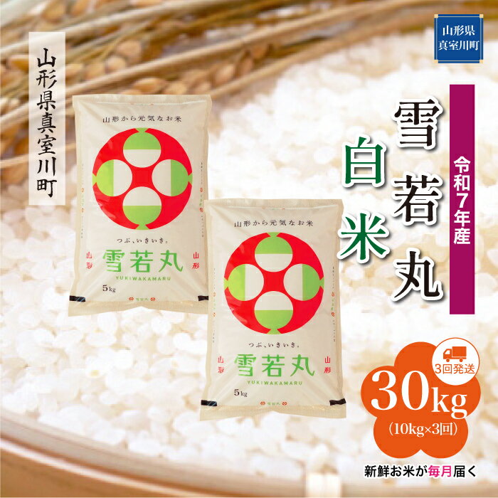 【ふるさと納税】 令和7年産 真室川町厳選 雪若丸 ［白米］ 30kg 定期便（10kg×3回お届け）