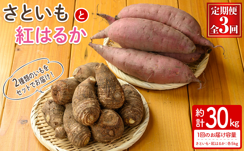 ＜定期便・全3回＞＜2025年10月上旬～2026年2月下旬発送予定＞さといもと紅はるかのセット(約10kg×3回・計約30kg) 【sm-DI005】【大原茂美】